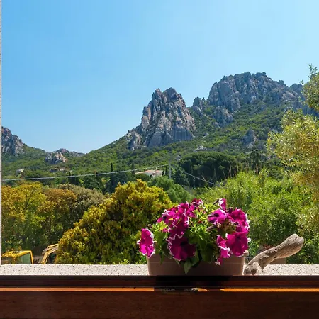 Mountain View *