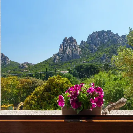 Mountain View *